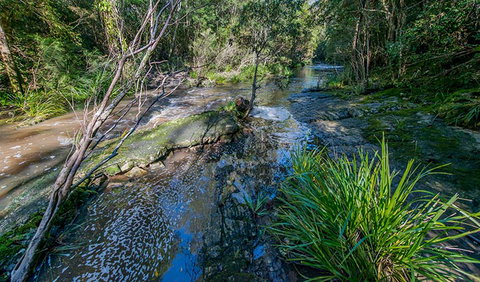 Dawson River Walking Track - Accommodation NT 0