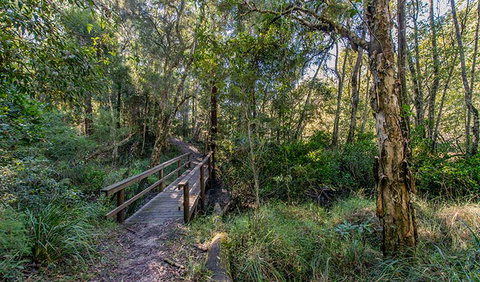 Dawson River Walking Track - Accommodation NT 1