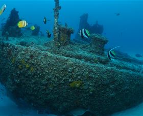 Curtain Artificial Reef Dive Site - Accommodation NT 1