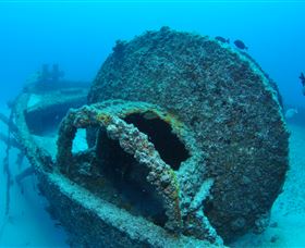 Curtain Artificial Reef Dive Site - Accommodation NT 3