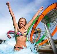 Wet'n'Wild Gold Coast - Accommodation NT