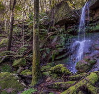 Coorabakh National Park - NT Tourism