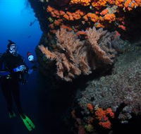 Gotham City Dive Site - Accommodation NT