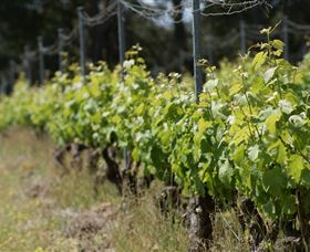 Barton Jones Wines - Accommodation NT 2