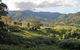 Mount Nardi Picnic Area - thumb 0