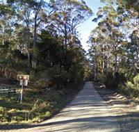 Box Cutting Rainforest Walk