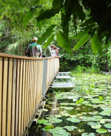 Keerrong NSW Accommodation NT