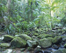 Rocky Creek Dam - Accommodation NT 5