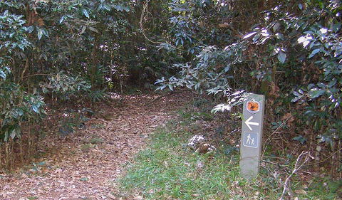 Big Scrub Loop Walking Track - Accommodation NT 2