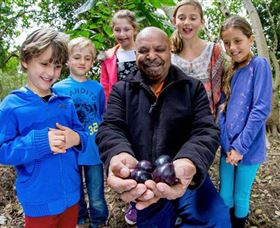 Wigay Aboriginal Culture Park - Accommodation NT 0