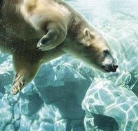 Australia's Sea World - Accommodation NT