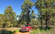 Wallingat Forest Drive - thumb 0
