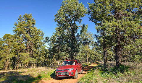 Wallingat Forest Drive - NT Tourism 0