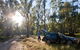 Wallingat Forest Drive - thumb 1