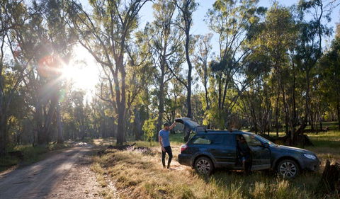 Wallingat Forest Drive - NT Tourism 1