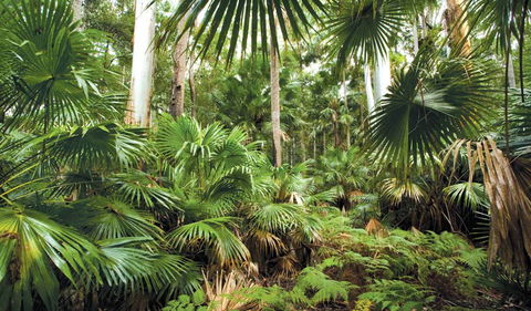 Wallingat National Park - NT Tourism 3