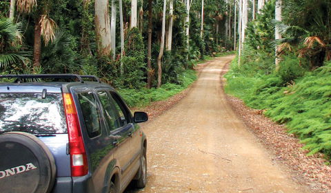 Wallingat National Park - NT Tourism 2
