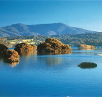 Wagonga Picnic Area - NT Tourism