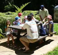The Pines picnic area - NT Tourism