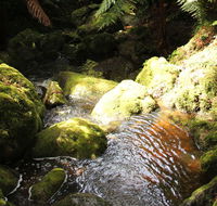 South East Forests National Park - Accommodation NT