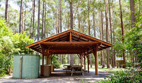 Bongil Picnic Area - Accommodation NT 0