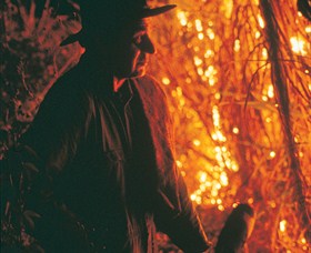 The Shed Gallery - Accommodation NT 0
