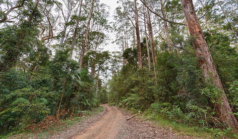 End Peak Walking Track - Accommodation NT 0