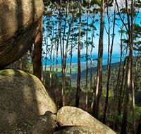 Mount Gulaga Mount Dromedary Walk - NT Tourism