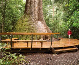 Burrawan State Forest - Accommodation NT 0