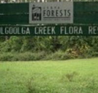 Woolgoolga Creek Flora Reserve - Accommodation NT