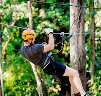 TreeTop Challenge Currumbin - Accommodation NT