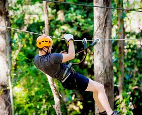 TreeTop Challenge Currumbin - Accommodation NT 0