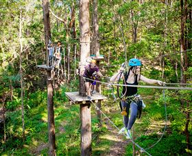 TreeTop Challenge Currumbin - Accommodation NT 1