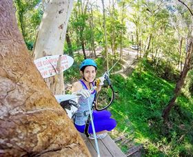 TreeTop Challenge Currumbin - Accommodation NT 3