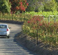 Cassegrain Wines - Accommodation NT