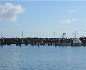 Club Harrington - Accommodation NT 2