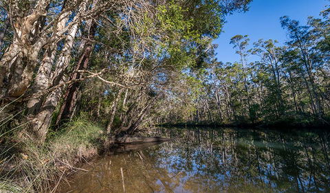 Queens Lake Nature Reserve - Accommodation NT 3
