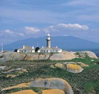 Montague Island Nature Reserve - NT Tourism