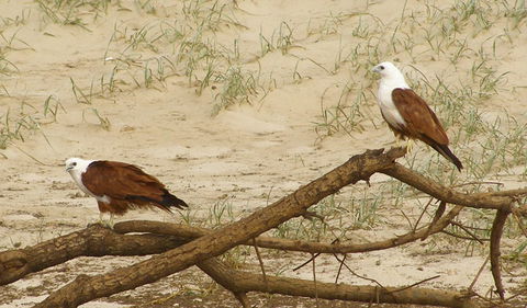 Broadwater National Park - Accommodation NT 2