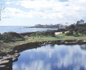 Angourie Blue Pool - Accommodation NT 1