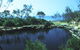 Angourie Blue Pool - thumb 2