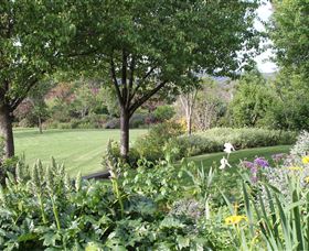 Ivy Hill Gallery - Accommodation NT 3