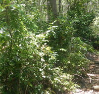 Bridle trail - Accommodation NT