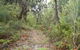 Kinchela Trig Lookout Walk - thumb 0