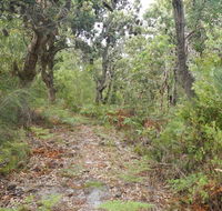Kinchela Trig Lookout walk - NT Tourism