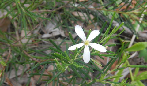 Kinchela Trig Lookout Walk - Accommodation NT 3