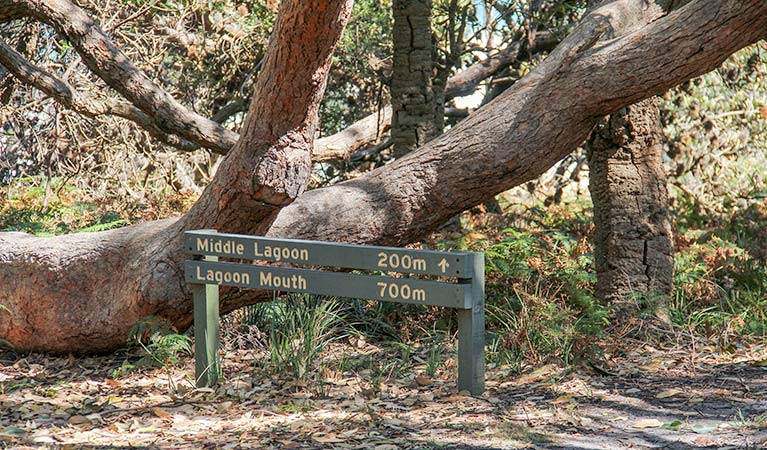 Reedy Swamp NSW Accommodation NT
