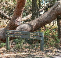 Middle Lagoon walking track - Accommodation NT