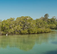 Tyagarah Nature Reserve - Accommodation NT
