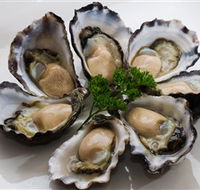 Tathra Oysters - Accommodation NT